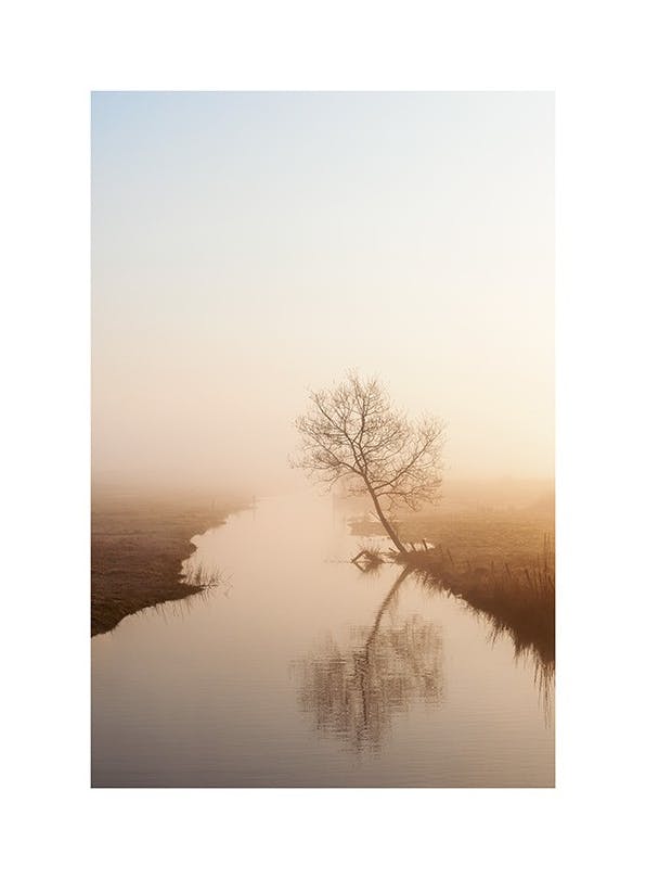 Misty Morning Light Plakat (50x70 cm) - Plakater > Kunstplakater > Fotokunst