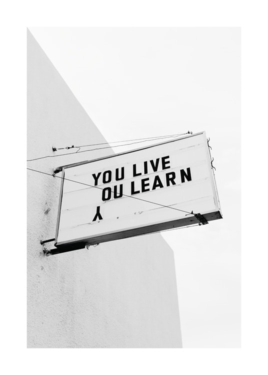 You Live You Learn Poster 0