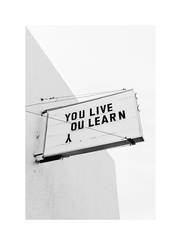 You Live You Learn Affiche (50x70 cm) - Tableaux photos noir et blanc