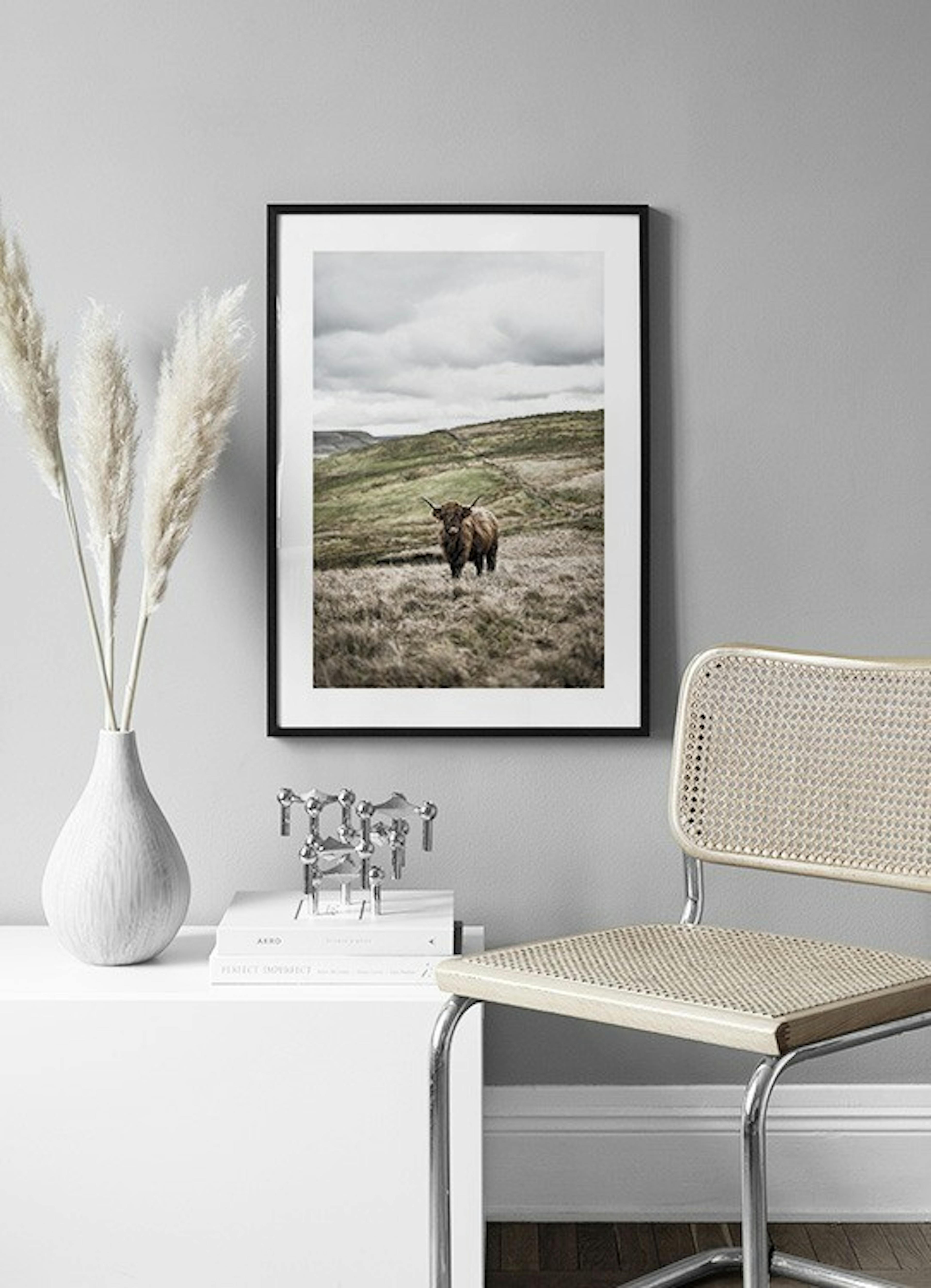 Cow In Landscape Print