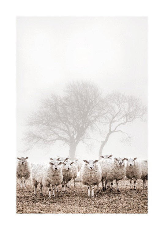 Sheep Herd Poster - Schafherde
