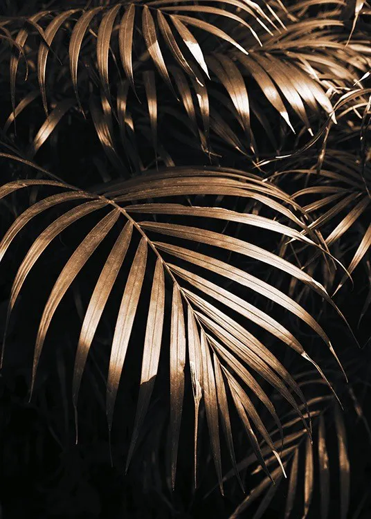 Golden Botanic Plakát 0