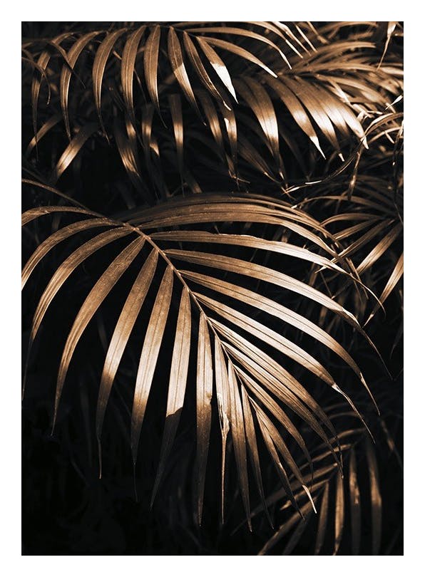 Golden Botanic Plakat (30x40 cm)- Plakaty botaniczne