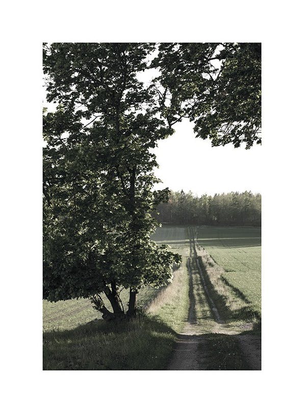 Country Road Plakat (30x40 cm)- Fotografia