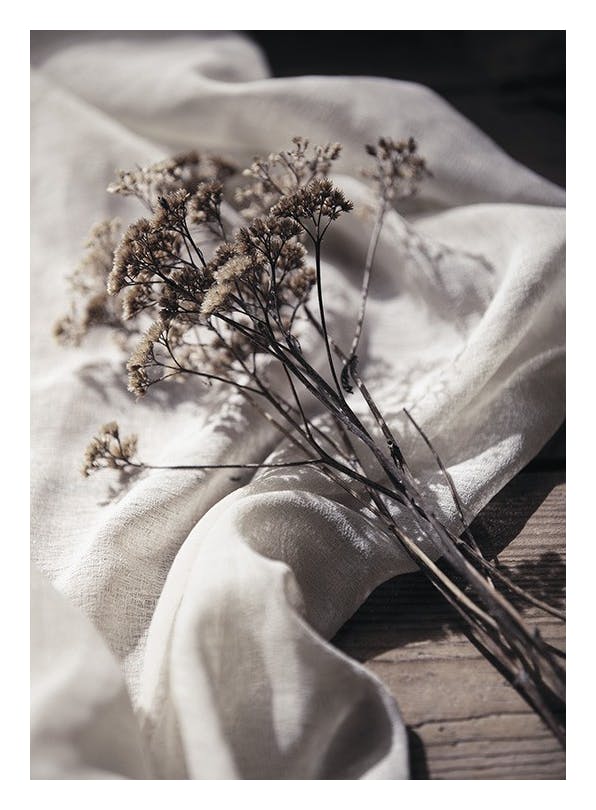 Dried Bed Plakat (30x40 cm) - Plakater > Kunstplakater > Fotokunst