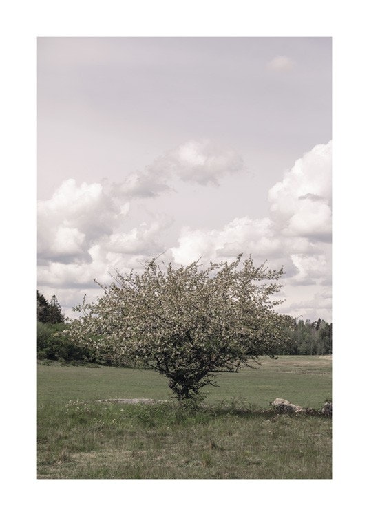 Lonely Tree Plakat 0