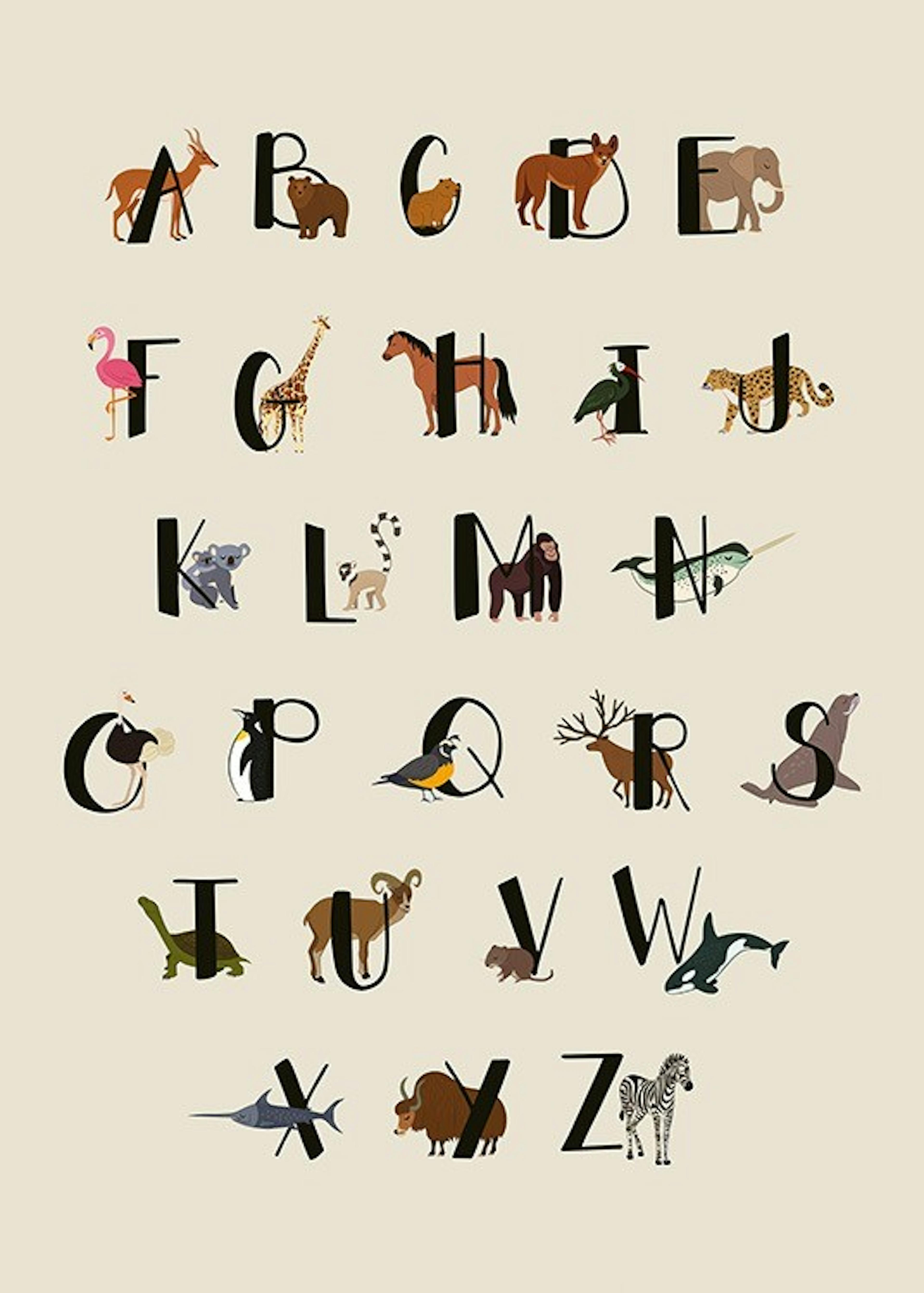 Animals Of The World Alphabet Plakát 0