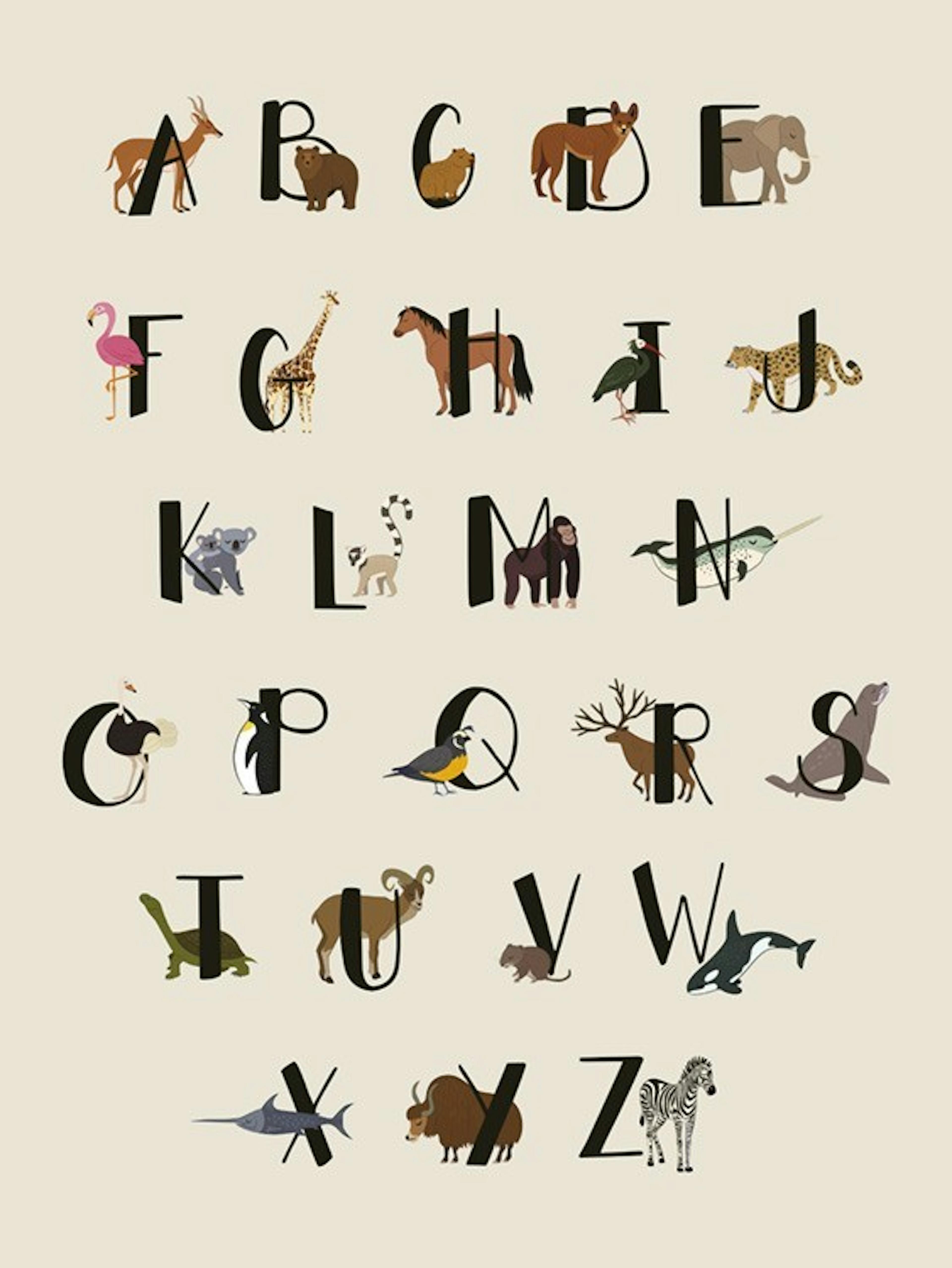 Animals Of The World Alphabet Plakat 0