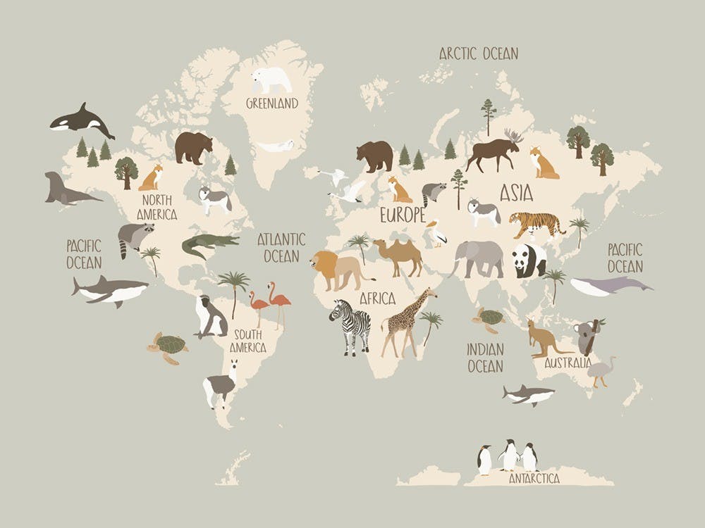Animals of the World Map Poster 0