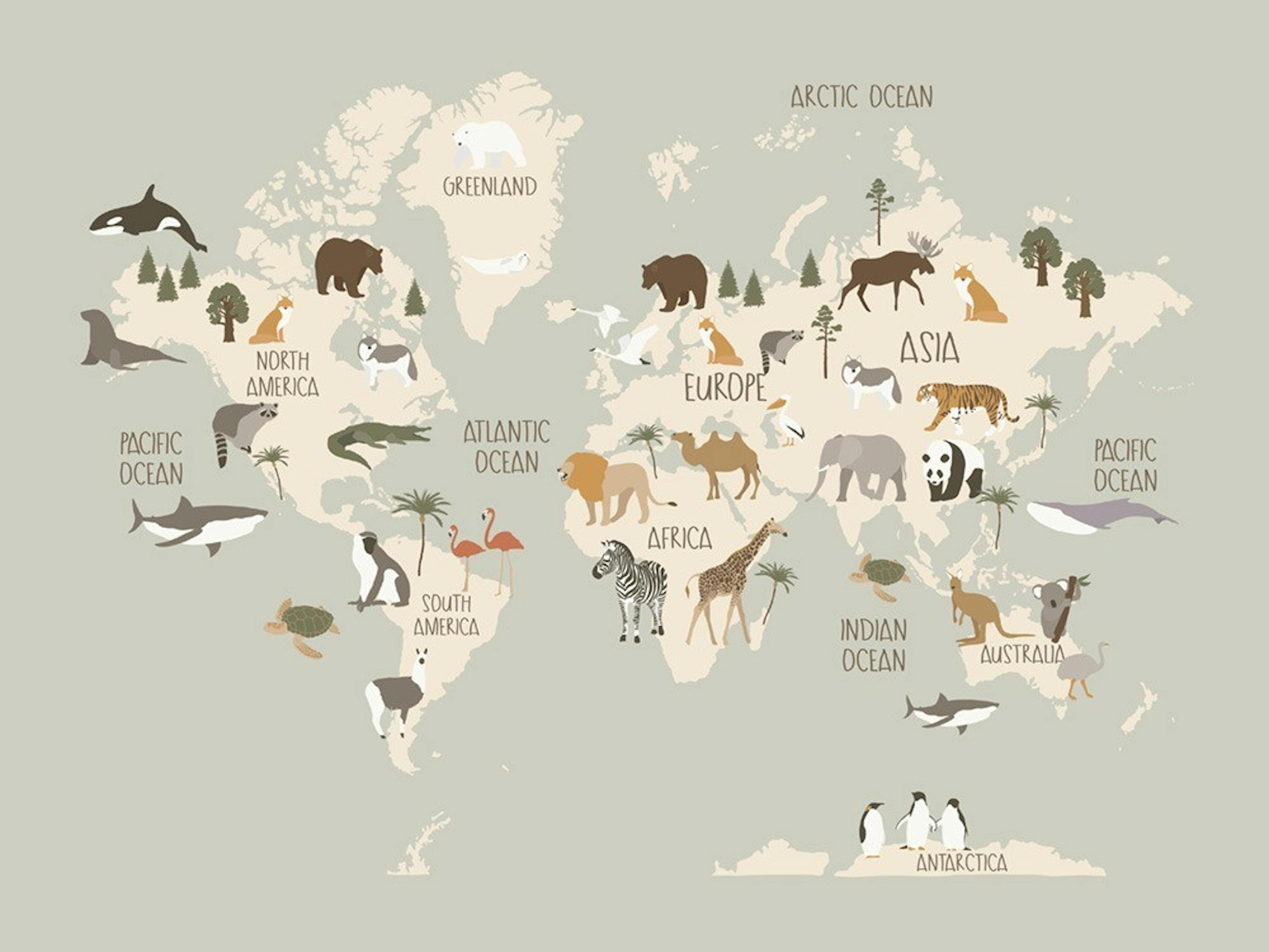 Animals of the World Map Print 0