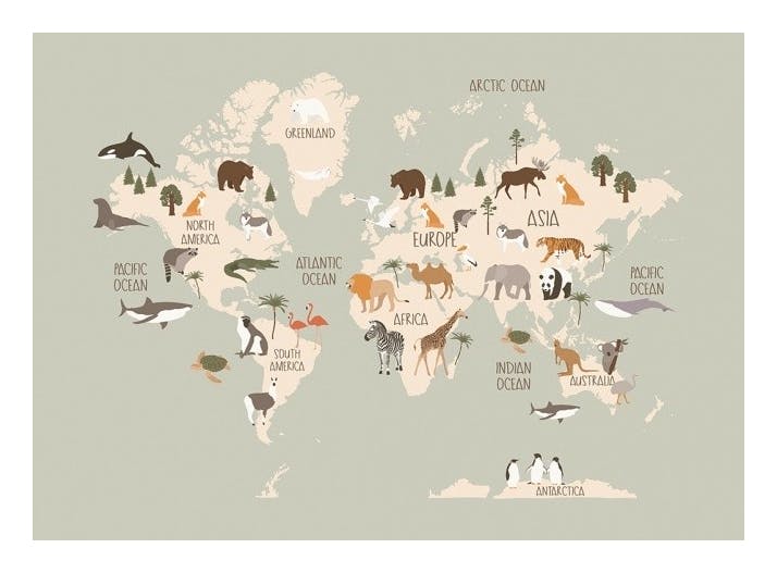 Animals of the World Map Poster (50x70 cm) - Poster