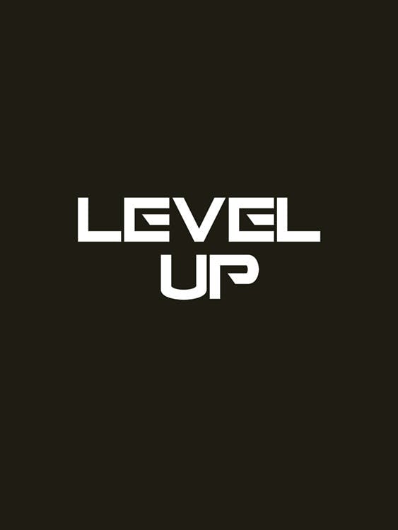 Level Up Juliste 0