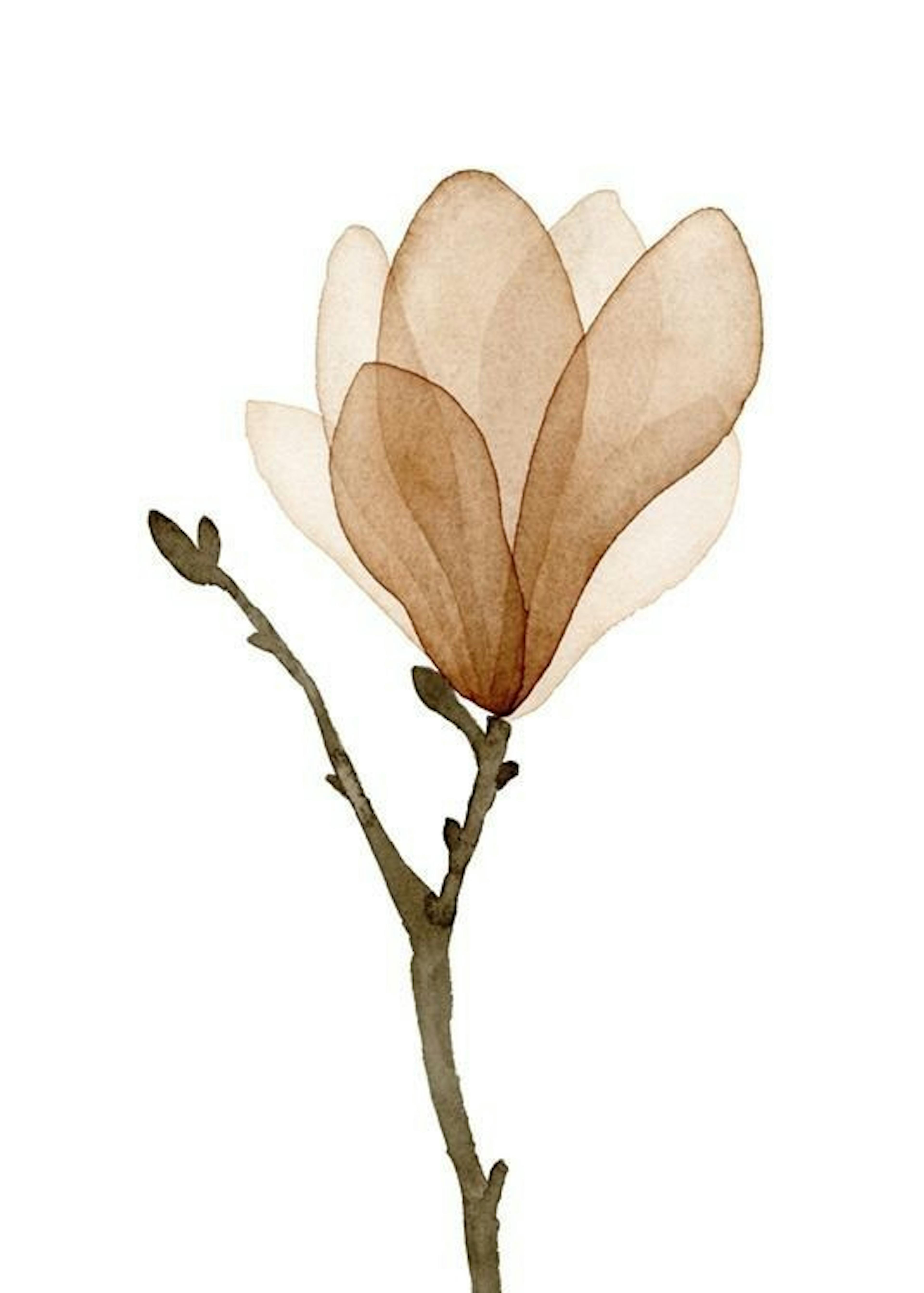 Watercolor Magnolia Print 0