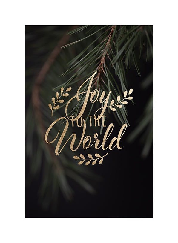 Joy to the World Plakat (30x40 cm)- Plakaty z napisami