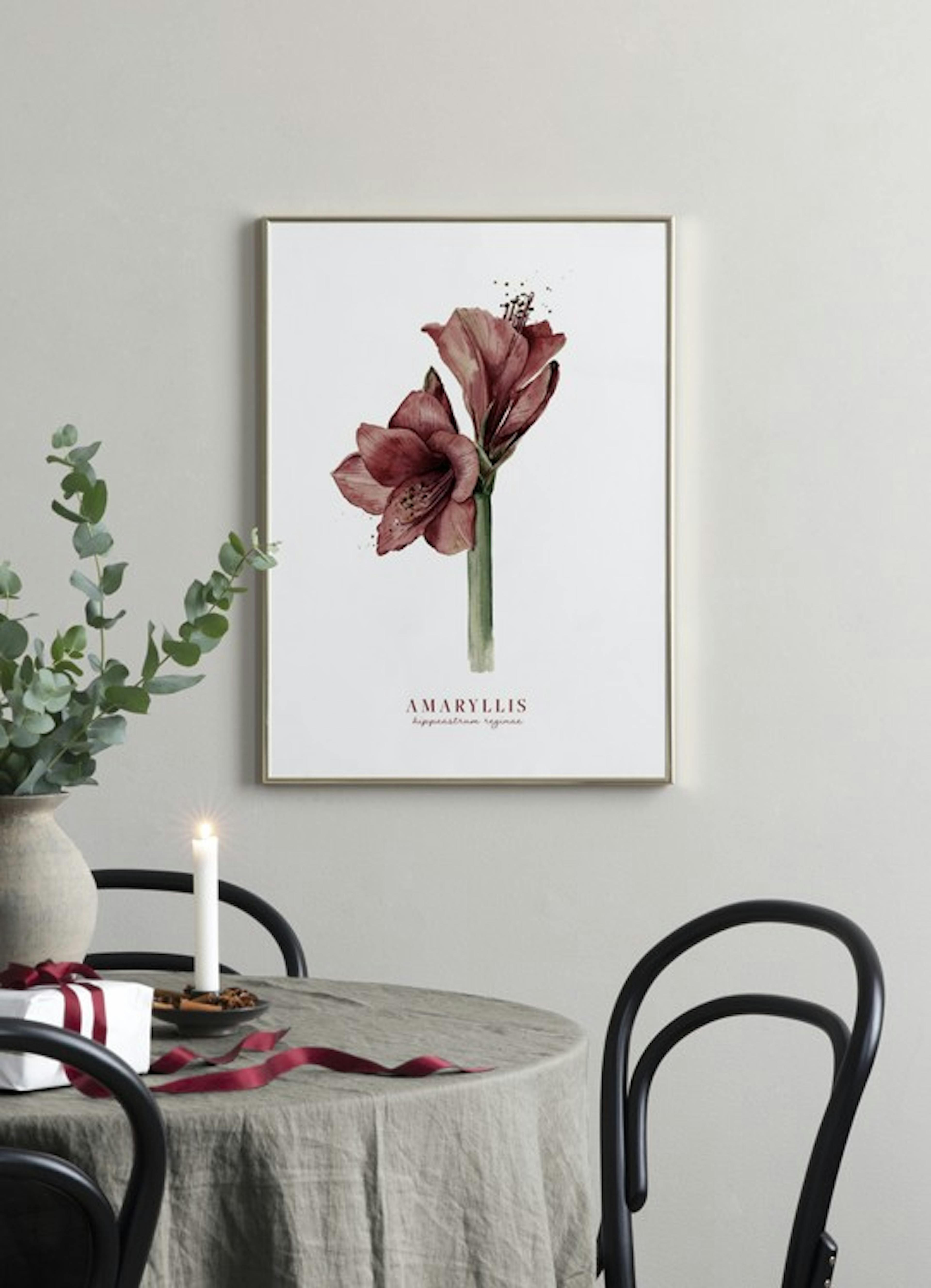 Watercolor Amaryllis Plagát