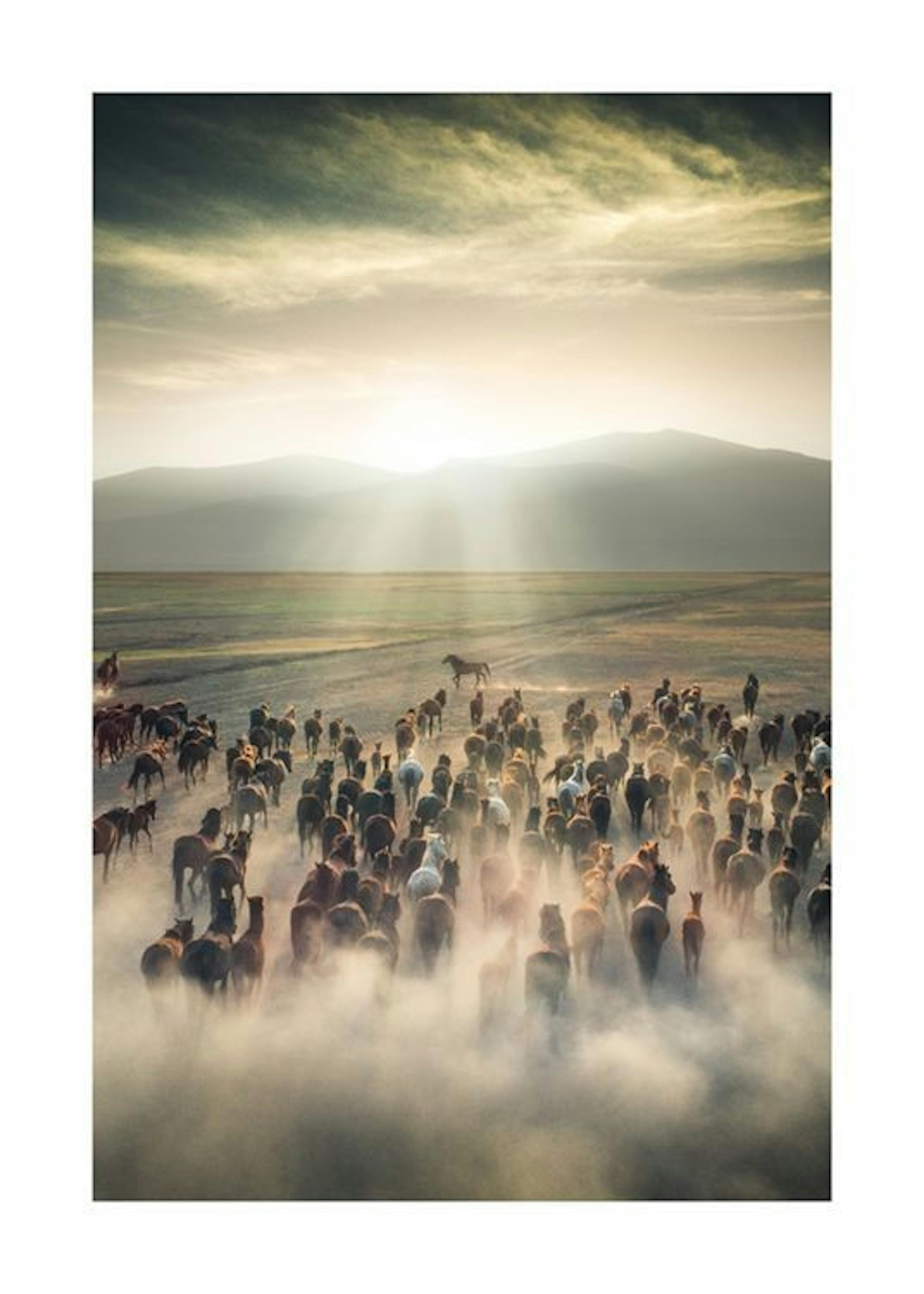 Herd Of Horses Plakat