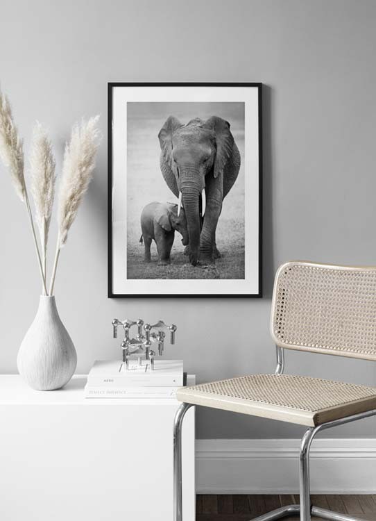 - Poster Elephant Zwei Love Elefanten