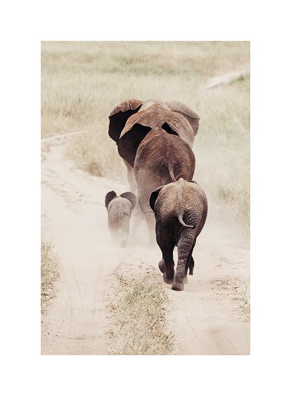 Prints - Hiking Elephants Print (30x40 cm) - Animal art prints