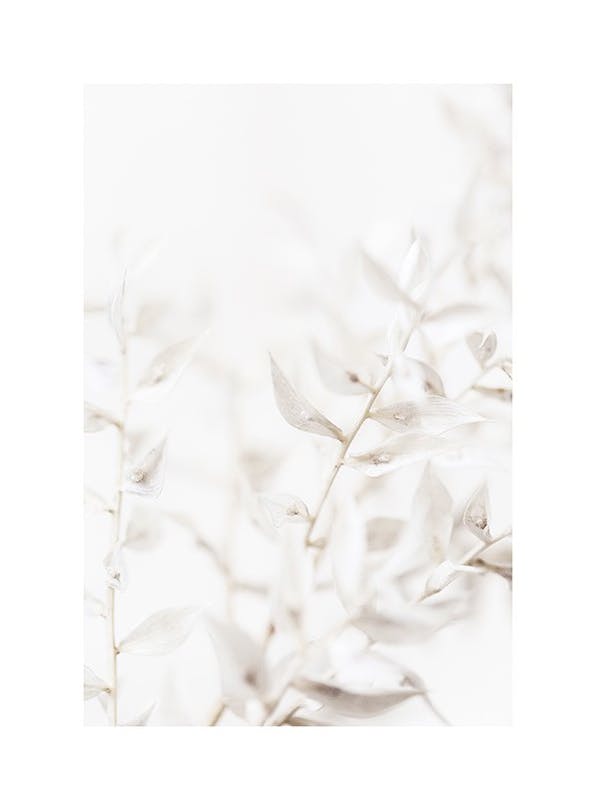 Soft Leaves Poster (50x70 cm)- Poster di fiori & piante