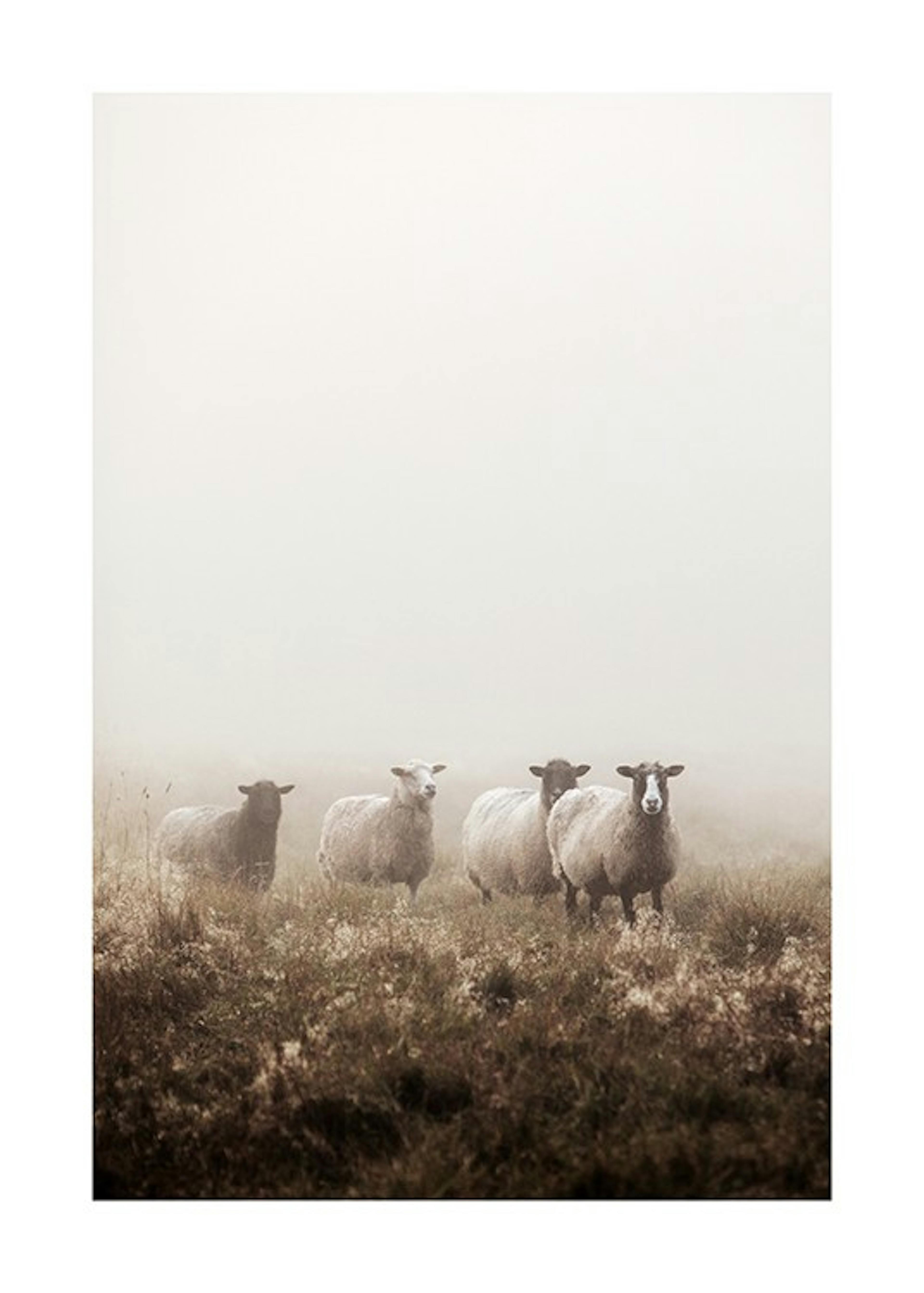 Sheep In The Fog Print