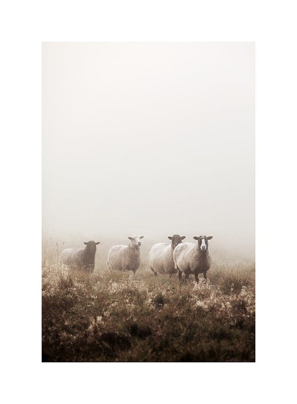 Sheep In The Fog Poster (50x70 cm) - Fotokunst