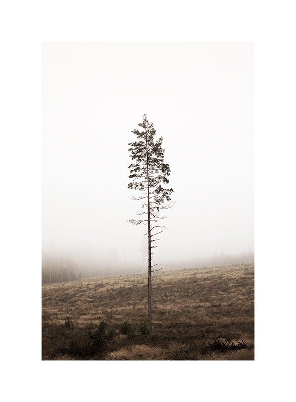 Lonely Pine Tree Poster (50x70 cm)