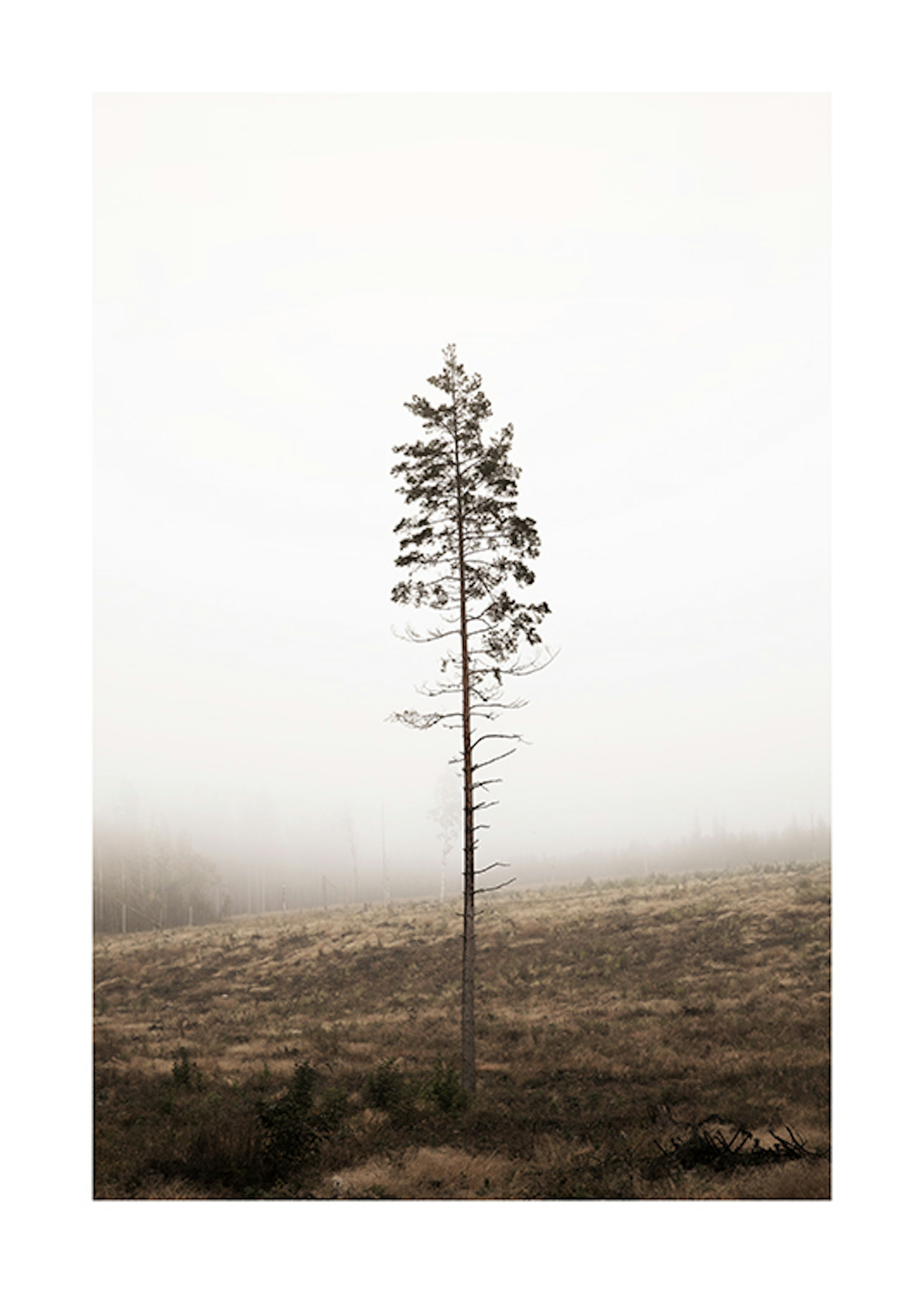 Product image: 1