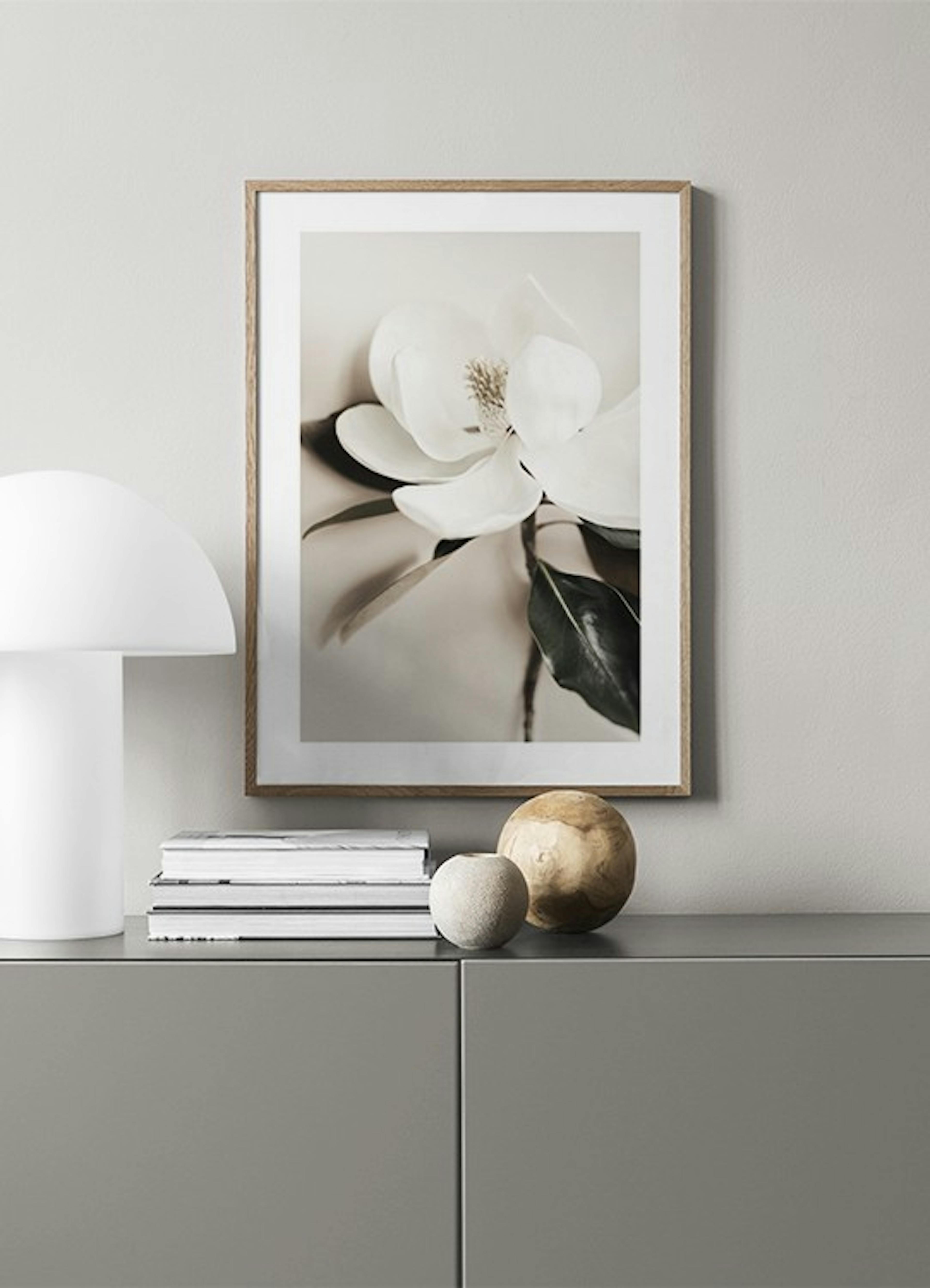 White Flower Poster