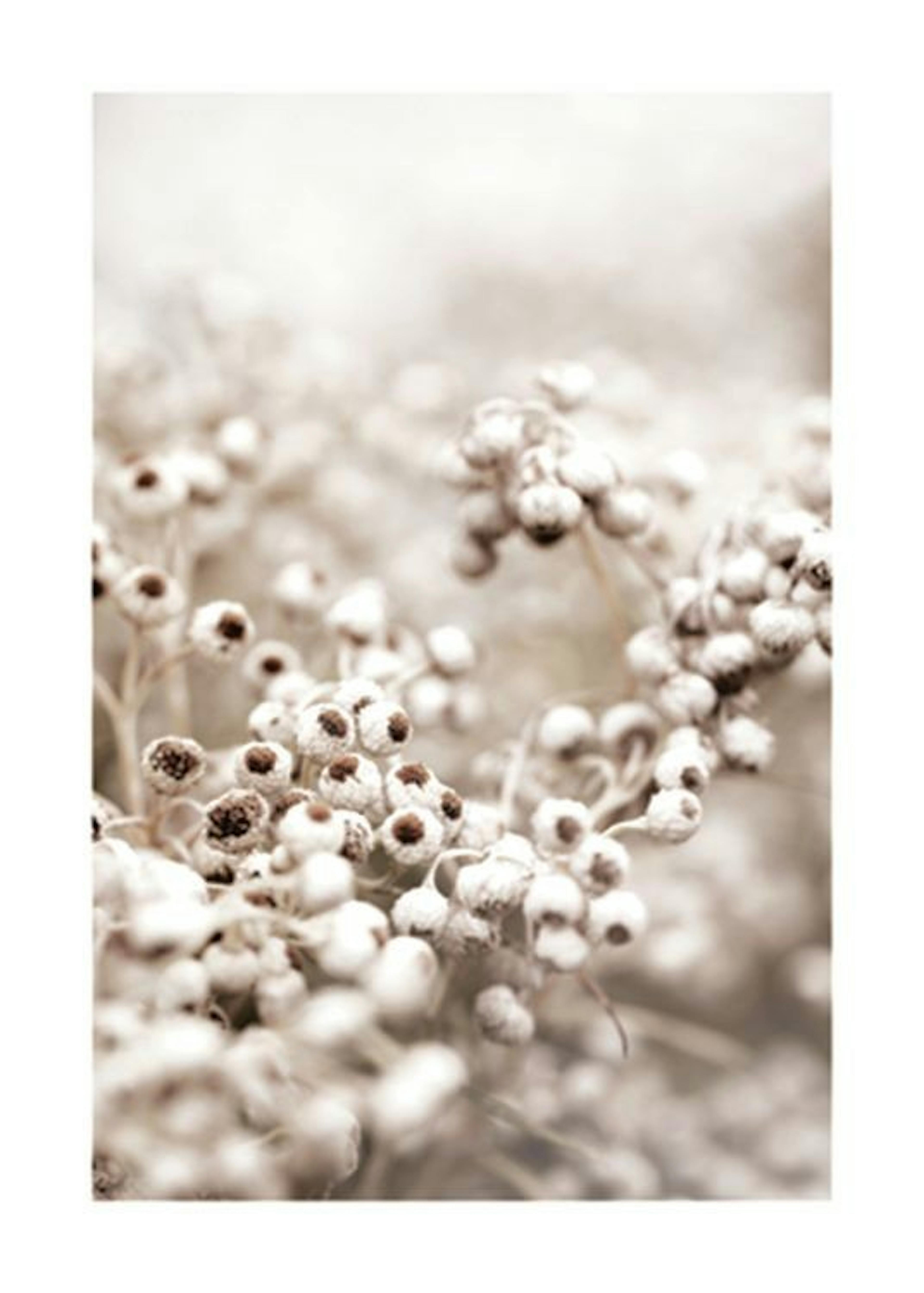 Beige Botanical Bokeh No1 Poster 0