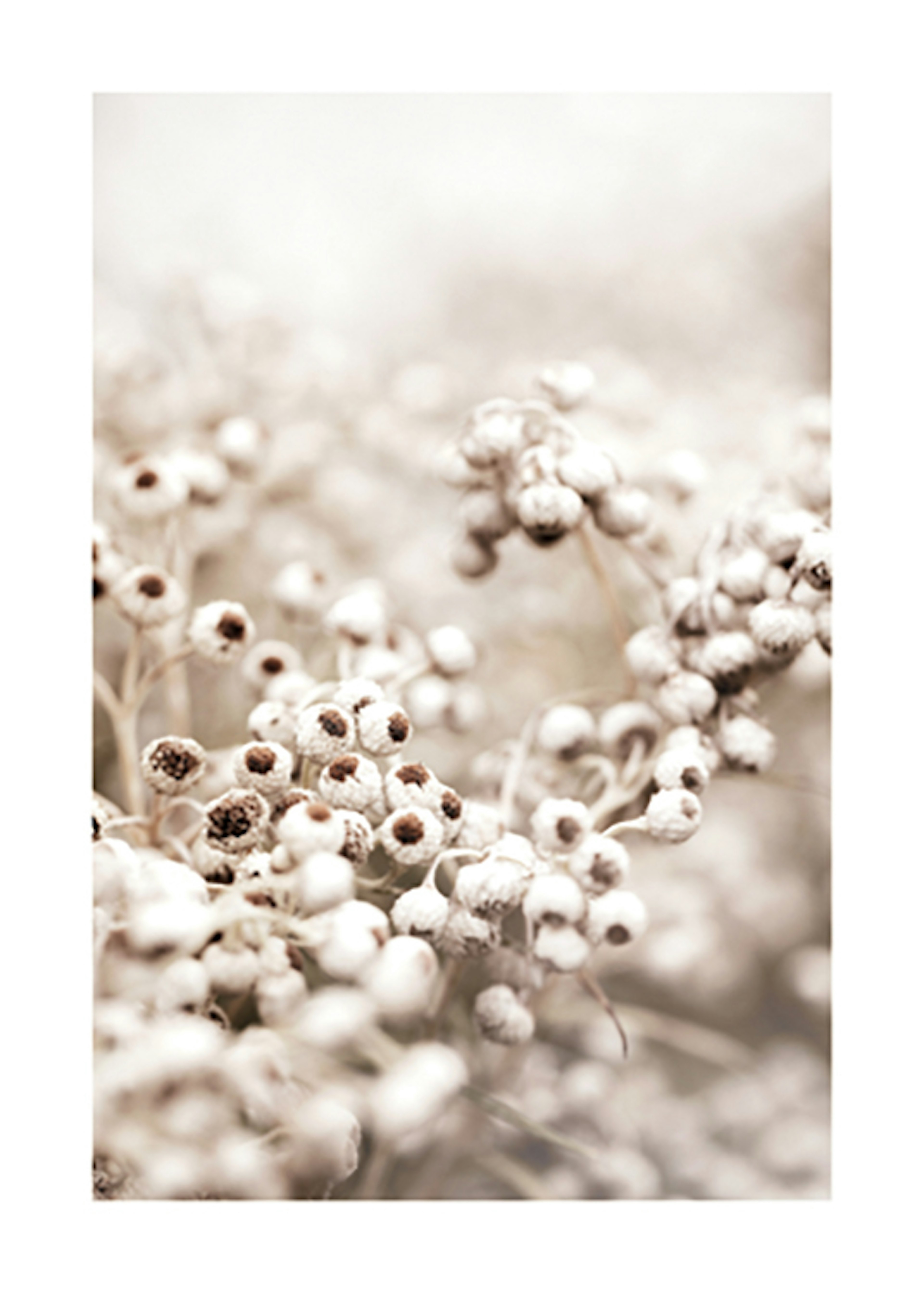 Product image: 1