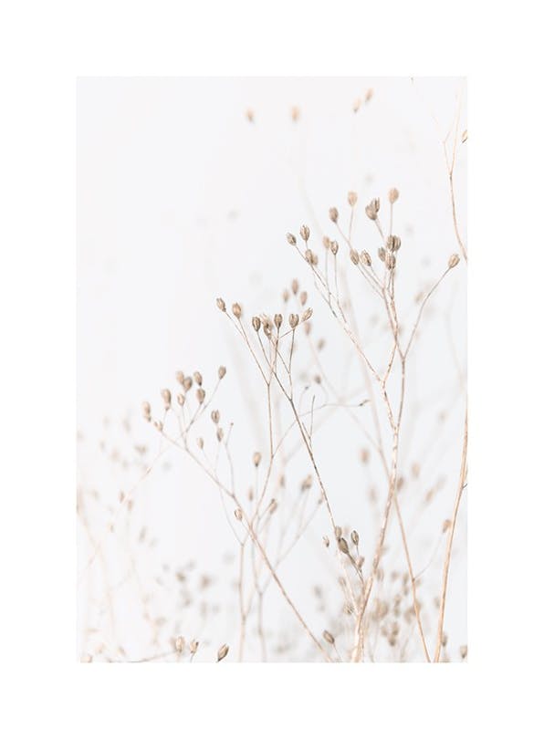 Grass In Soft Tones Poster (30x40 cm)- Posters de flores