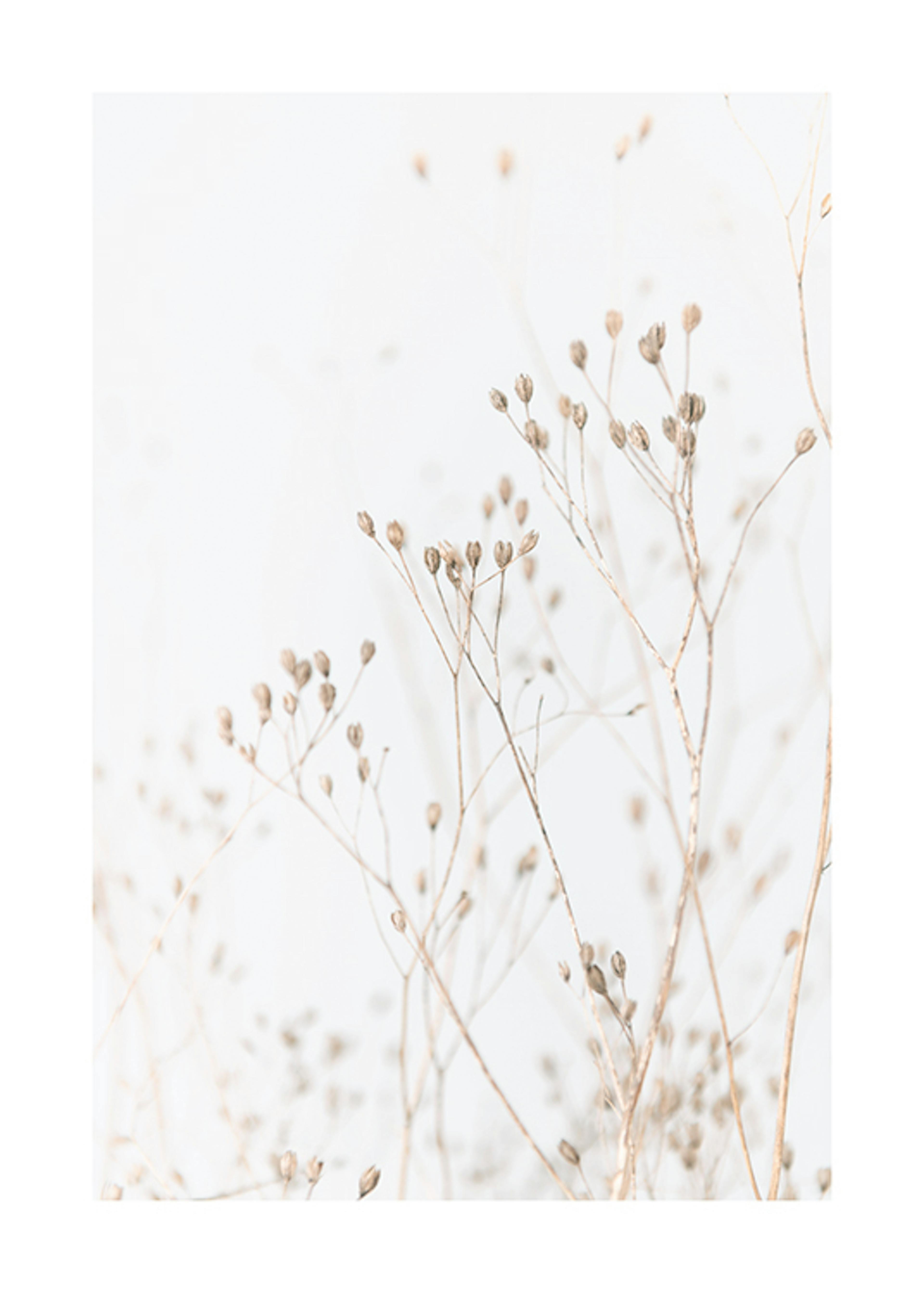 Product image: 1