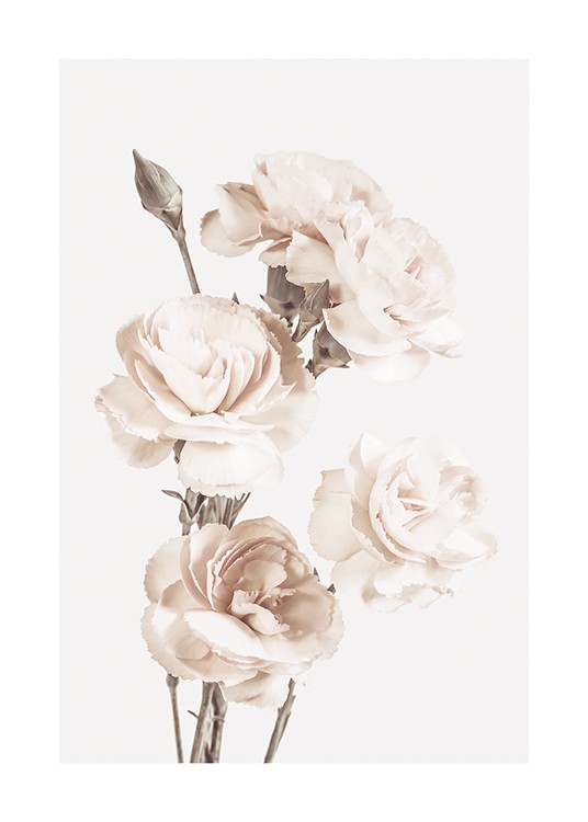 The Beauty Of Flowers - Blumen Poster in Beige