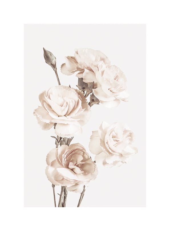 Prints - The Beauty Of Flowers Print (50x70 cm) - Floral prints