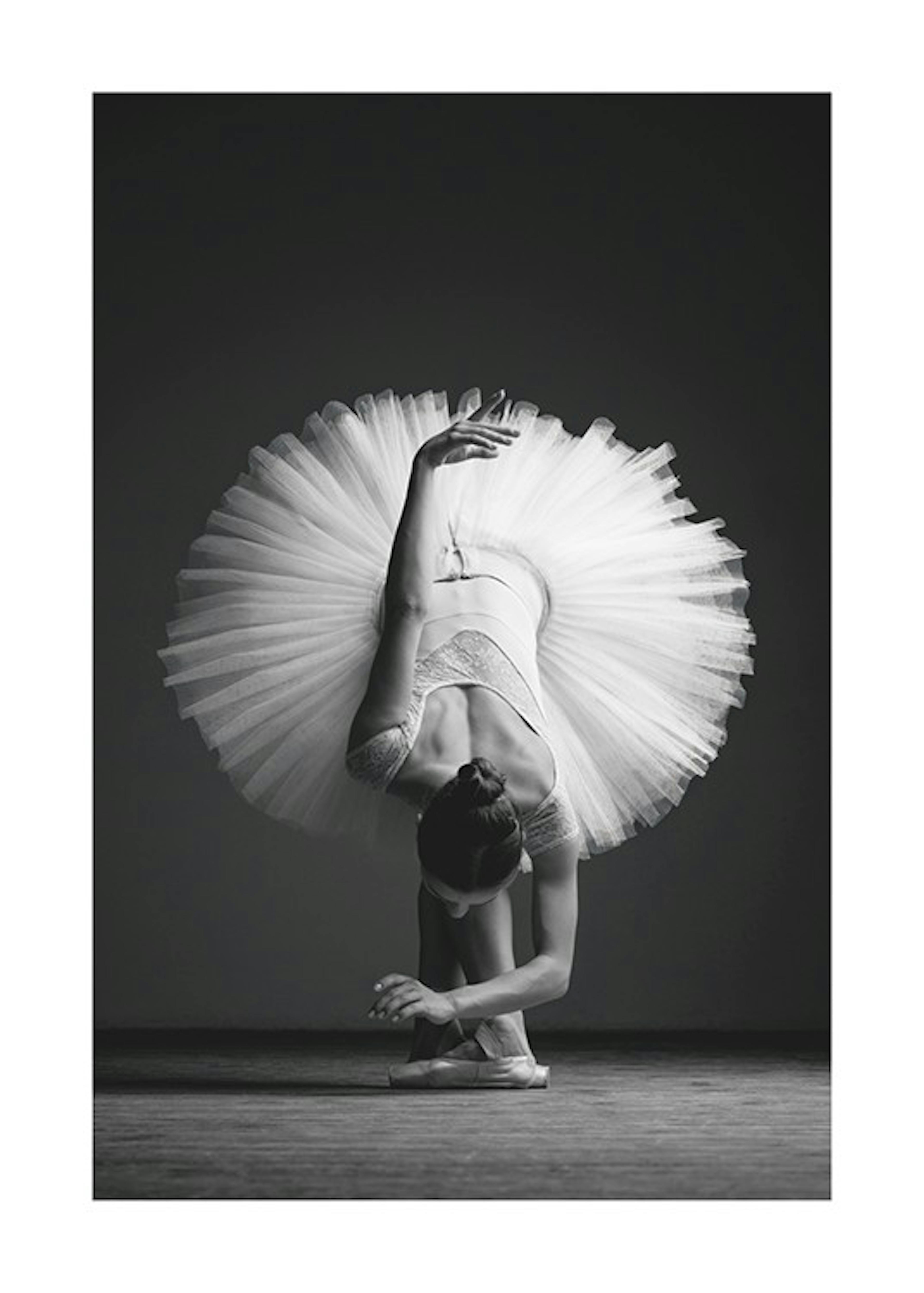 Elegant Ballerina Print 0