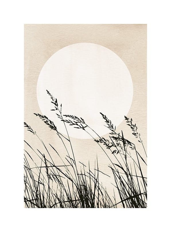 Sunset Reeds Poster (30x40 cm)