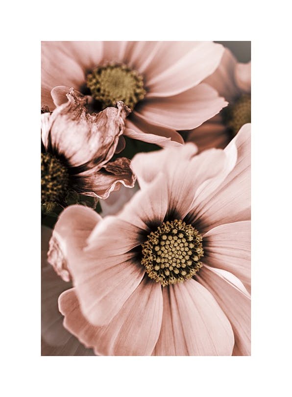 Prints - Lovely Pink Flowers Print (30x40 cm) - Botanical prints