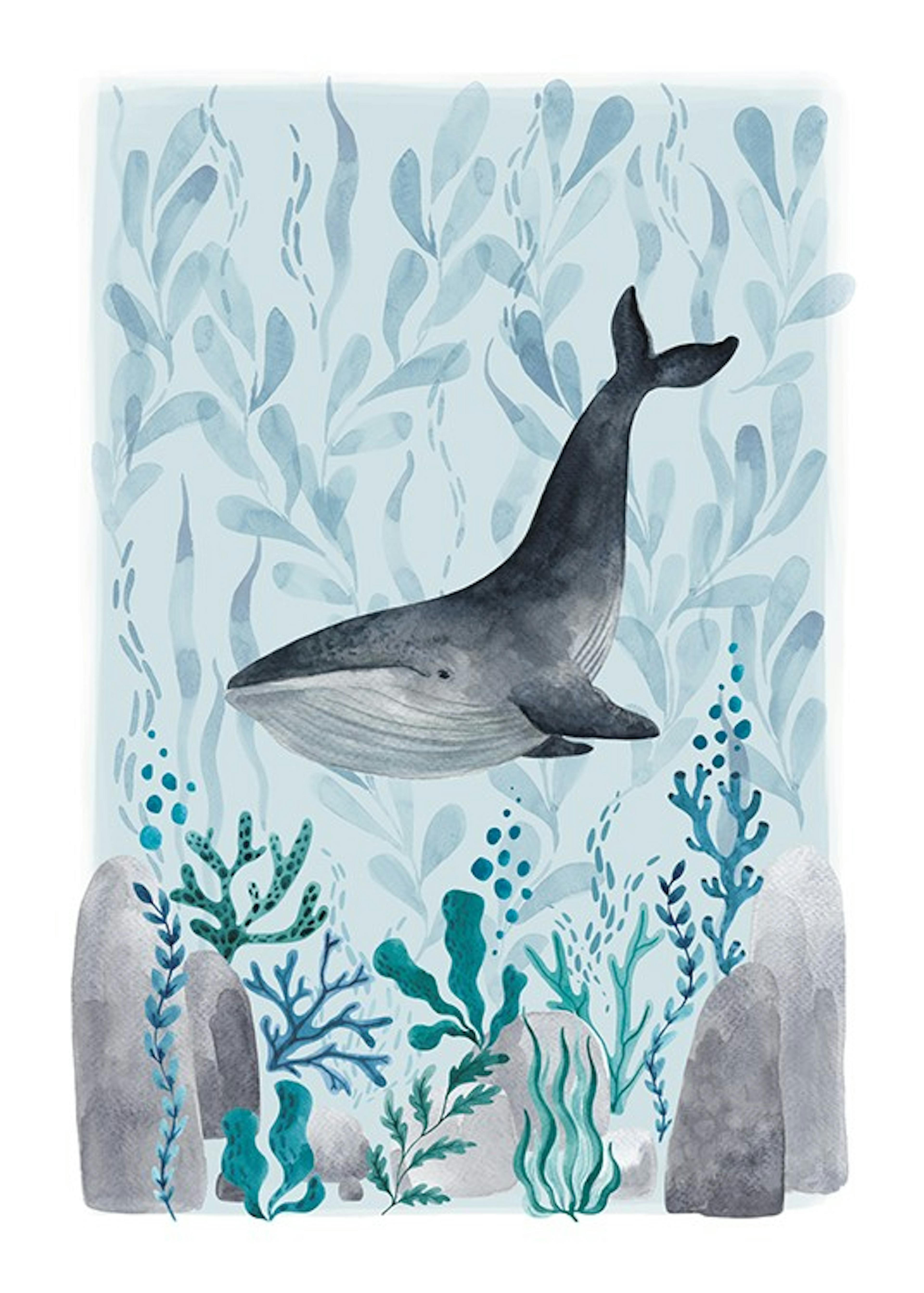 Ocean Whale Print 0