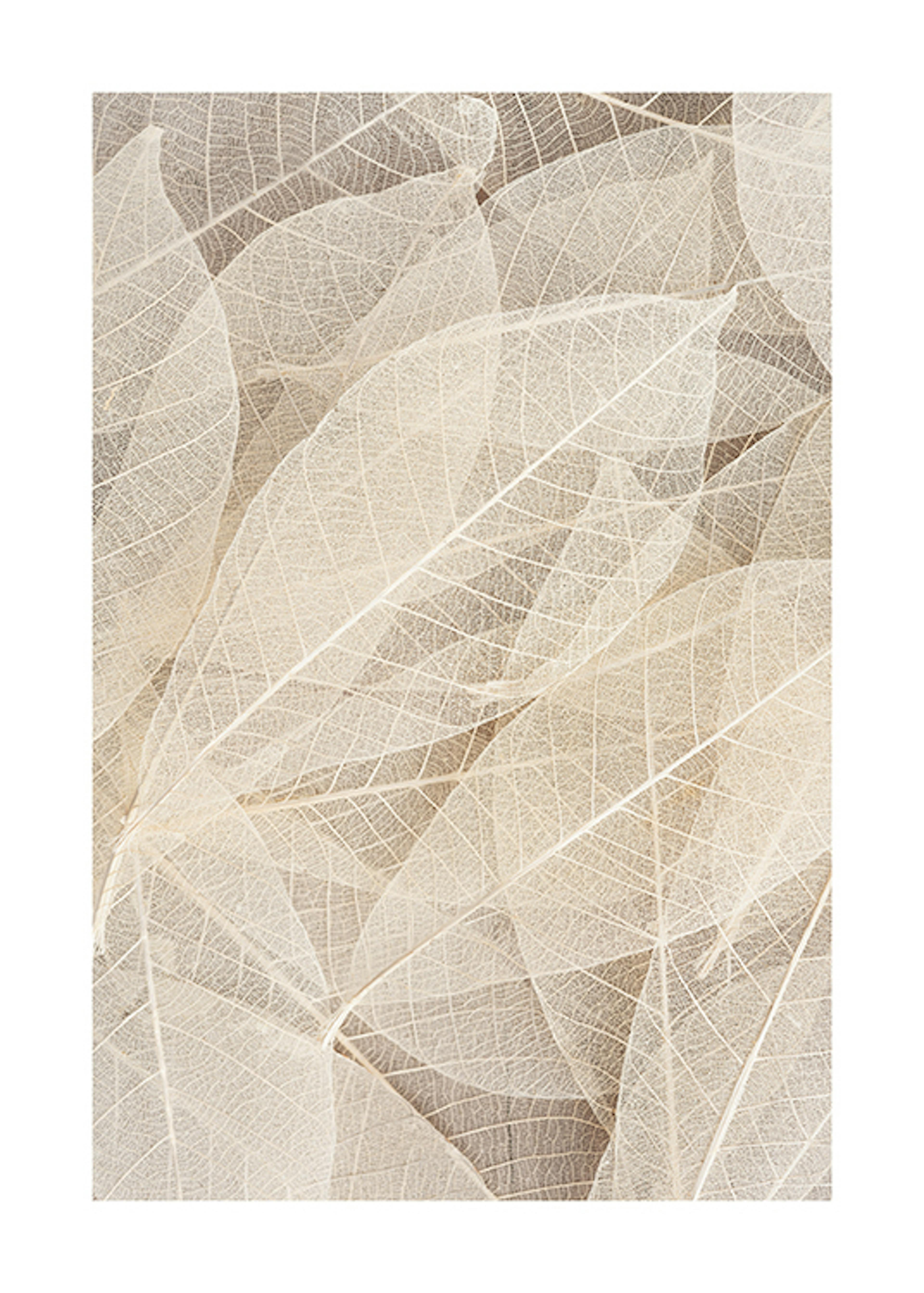 Product image: 1
