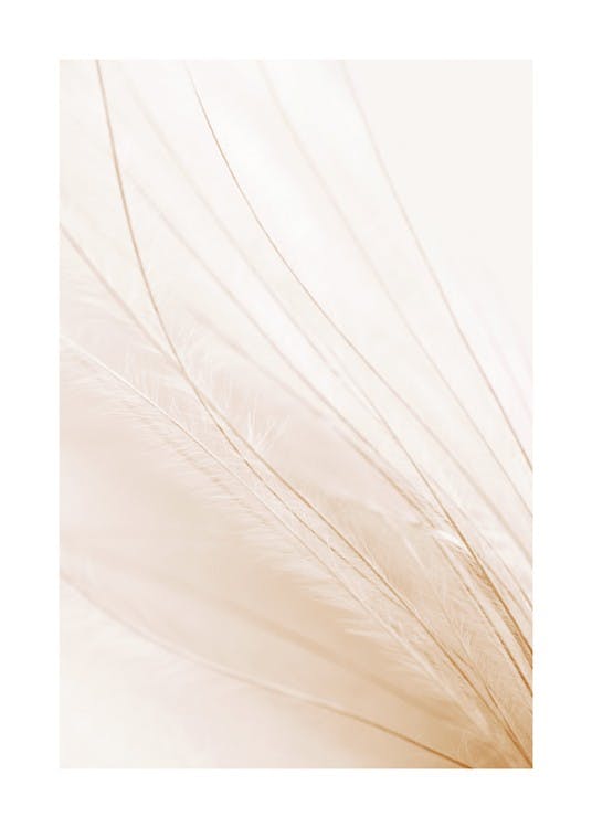 Light As A Feather Poster 0