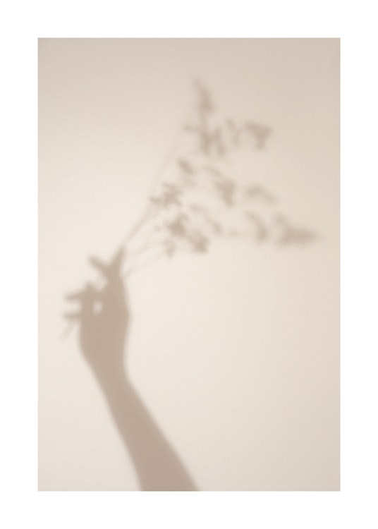Shadow Play Affiche 0