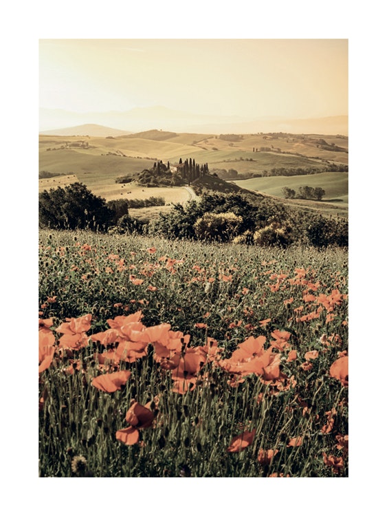 Tuscany Flowers Plagát 0