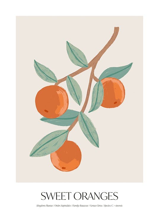 Sweet Oranges Poster 0