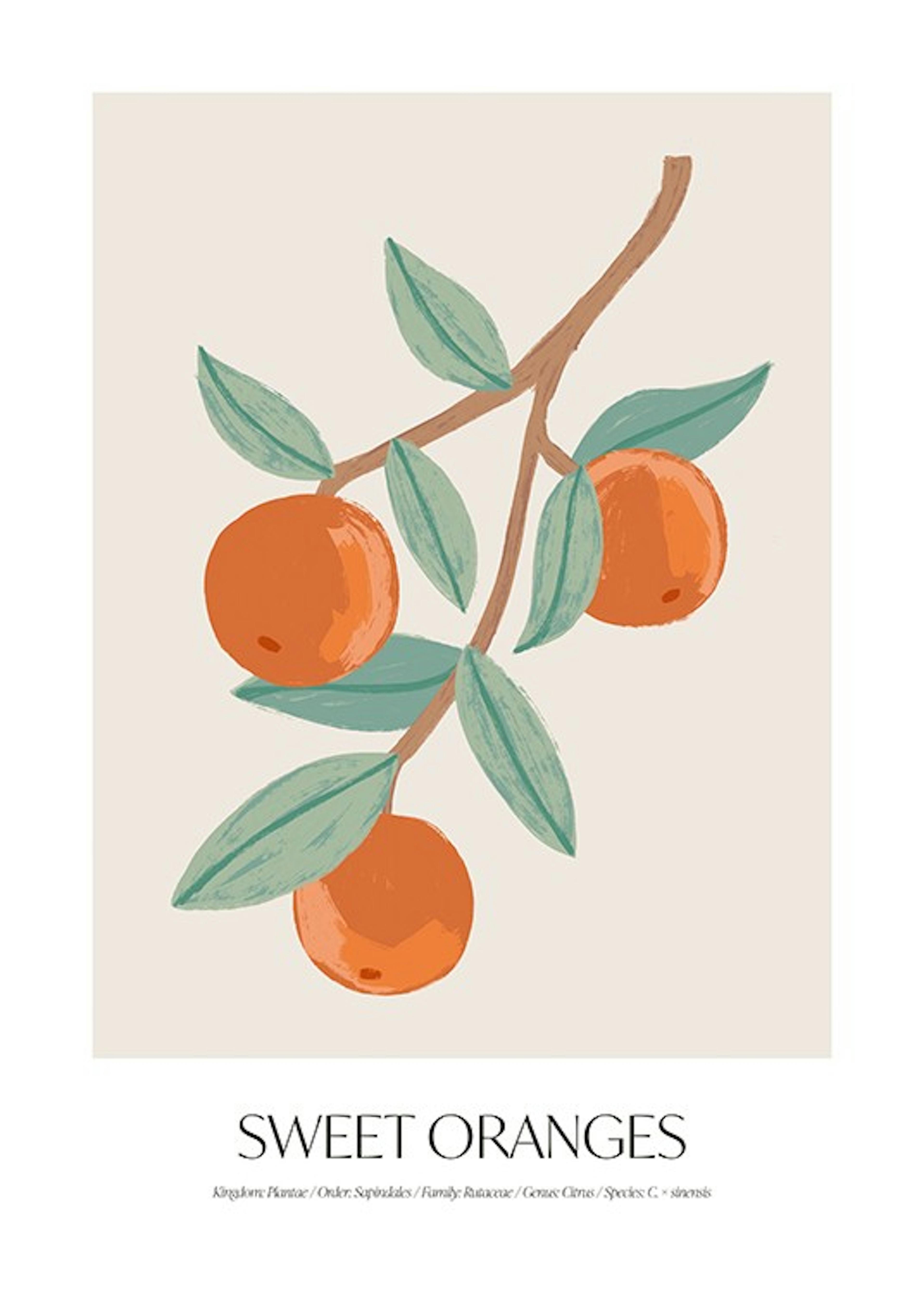 Sweet Oranges Print 0
