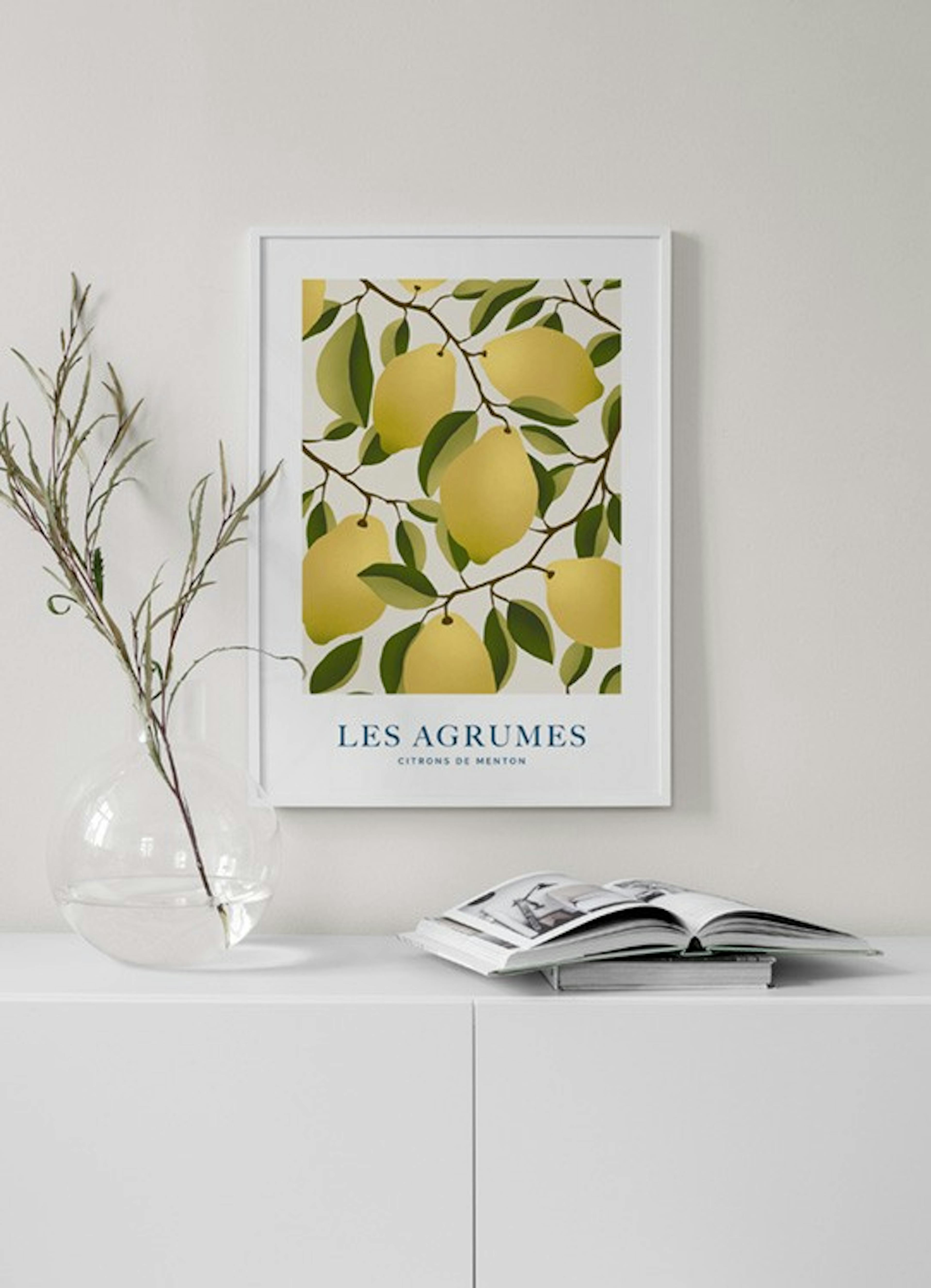 Les Agrumes No1 Print
