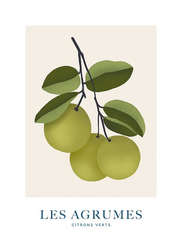 Les Agrumes No2 Print (50x70 cm)