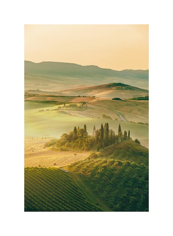 Tuscany Hills Plakat (50x70 cm)- Fotografia