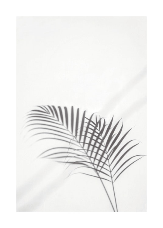 Palm Leaf Shadow Juliste 0
