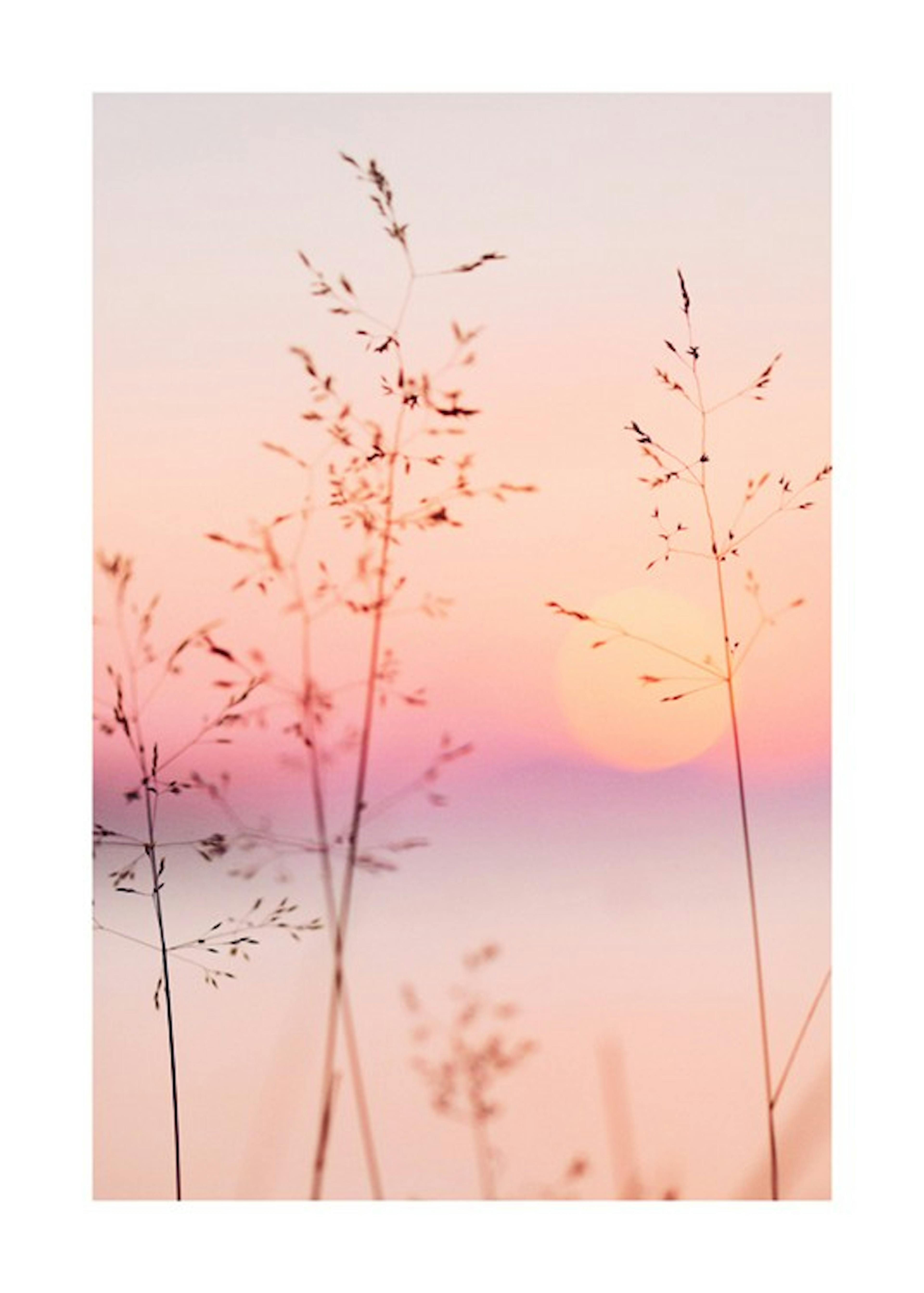 Pastel Sunset Poster 0