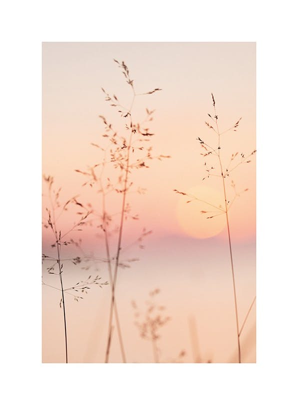 Pastel Sunset Poster (30x40 cm) - Fotokunst